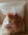 SNACK BAG 5 liter - Transparent Terrazzo